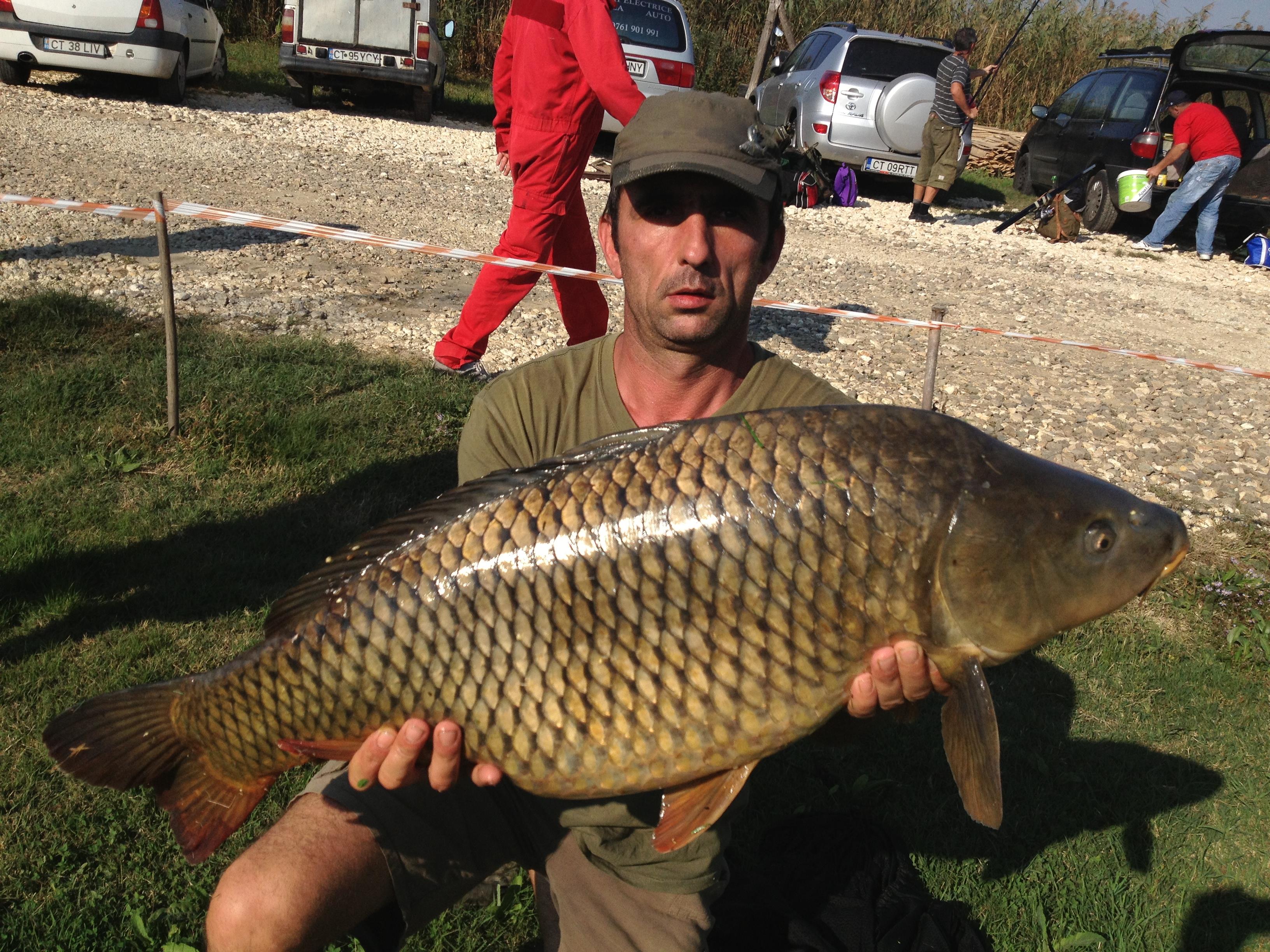 Capturi 2012 - 15,9 kg